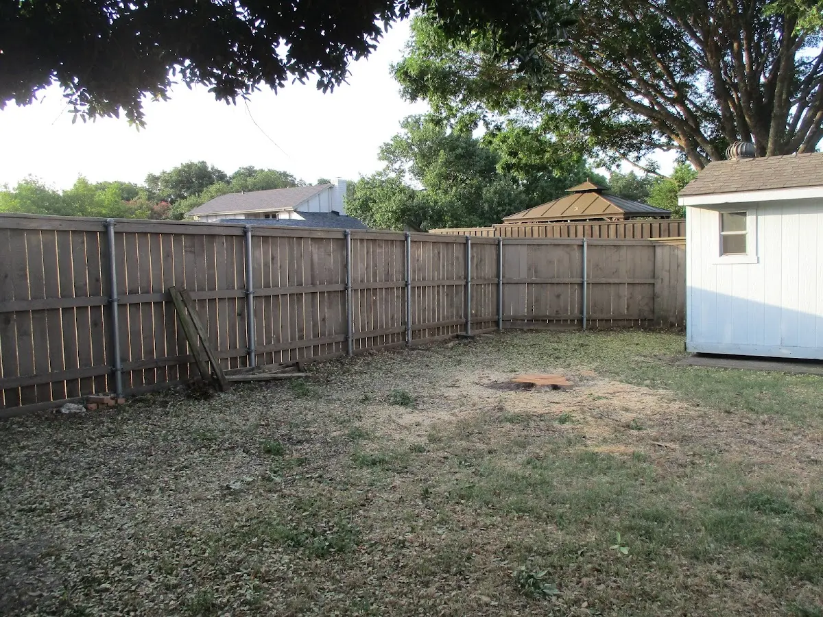 Cleared yard after professional tree removal in White Lake