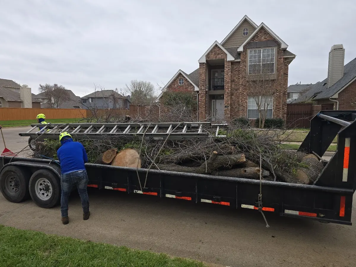 Expert Lot Clearing with proper safety equipment in White Lake
